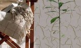 Декоративная штукатурка Кракелюр
